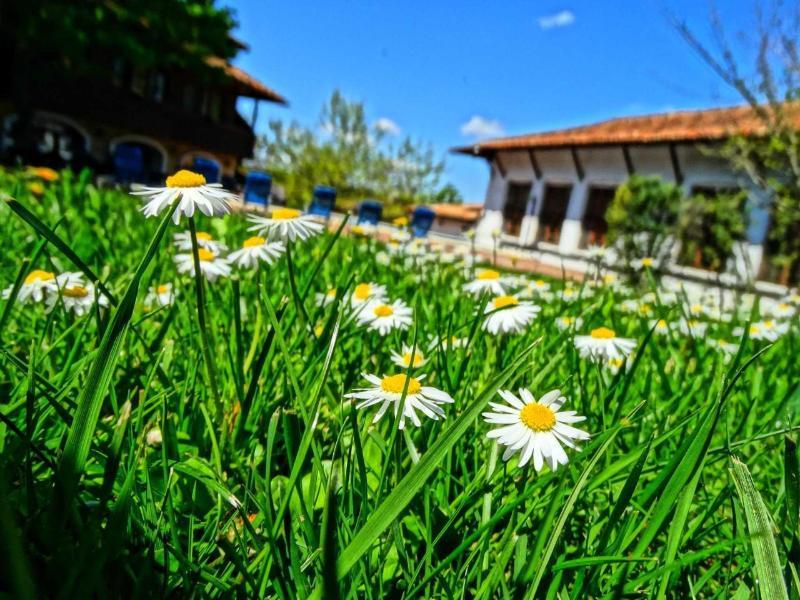 Hotel Izvora - Garden Retreat Arbanasi Eksteriør bilde