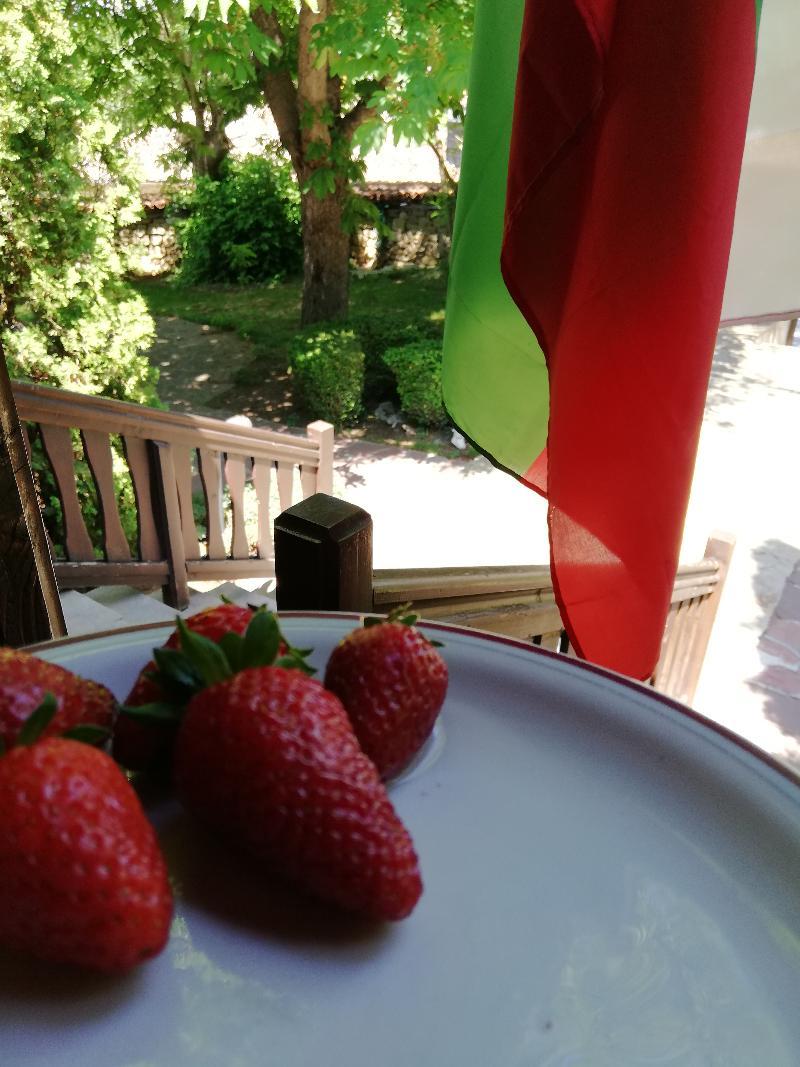 Hotel Izvora - Garden Retreat Arbanasi Eksteriør bilde